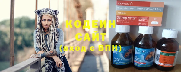 прущий лед Алзамай