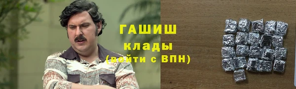 прущий лед Алзамай