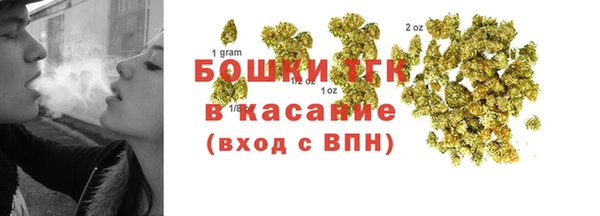 прущий лед Алзамай