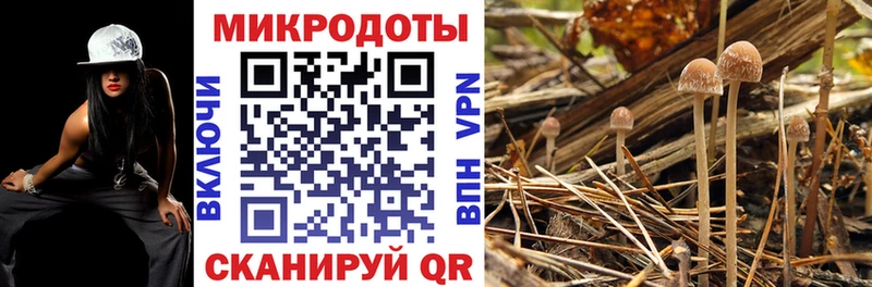 Галлюциногенные грибы MAGIC MUSHROOMS где можно купить Задонск